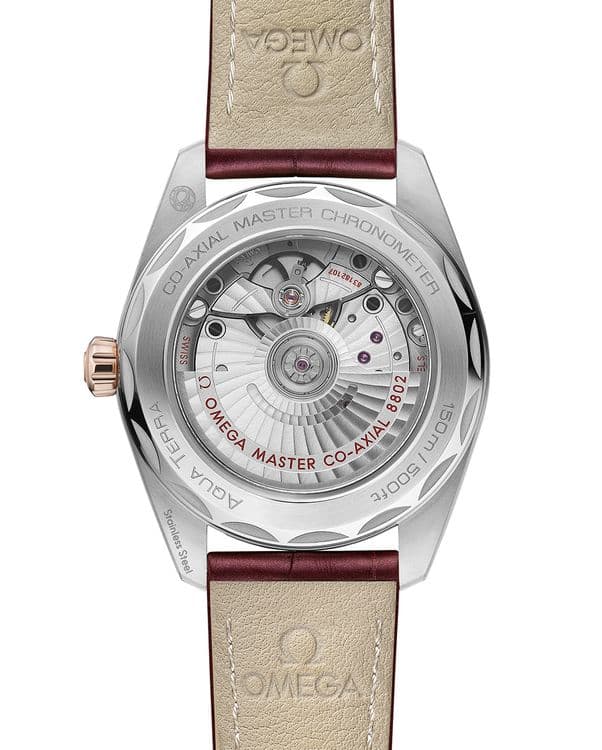 Часы Omega Aqua Terra
