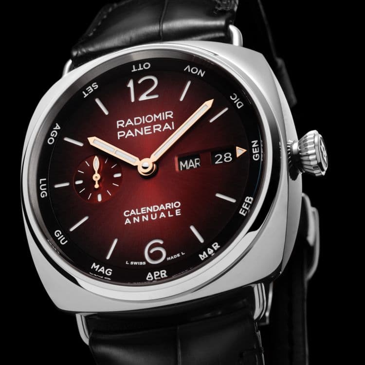 Часы Panerai Radiomir Annual Calendar Platinumtech PAM01432