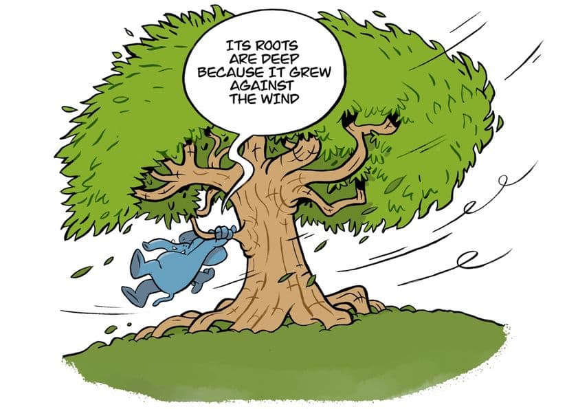 Книга Лорана Лекампа