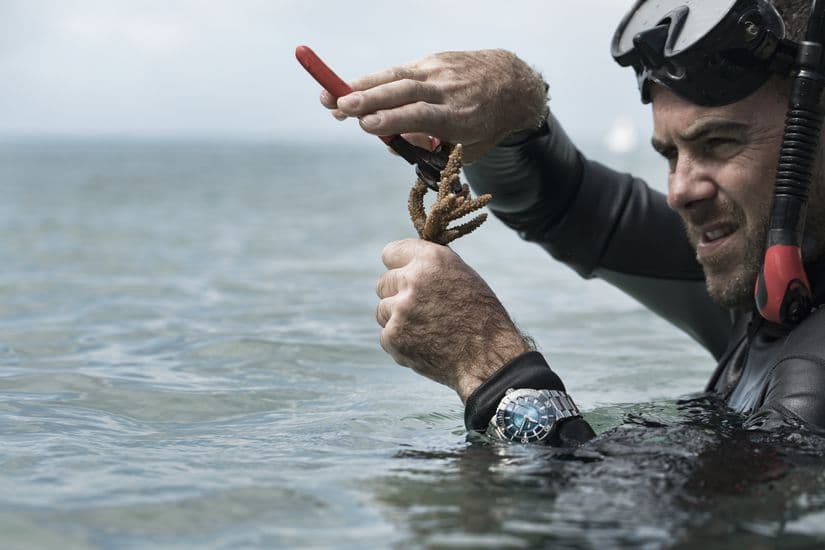 Дайвер с часами Oris Great Barrier Reef Limited Edition III 