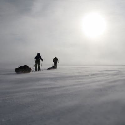 IceLegacy