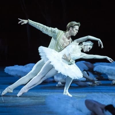 Backes & Strauss