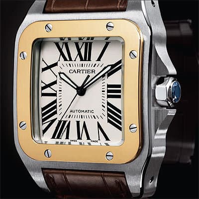 Cartier  Santos--100
