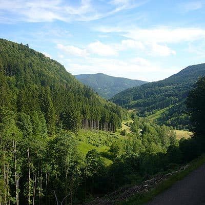 Шварцвальд