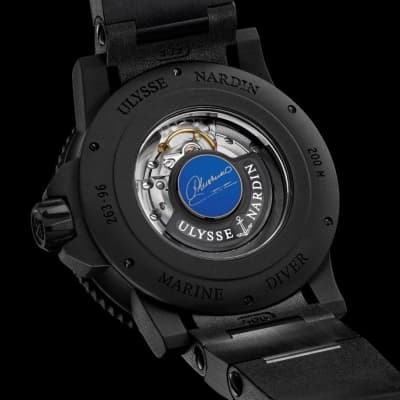 Champion’s Diver 