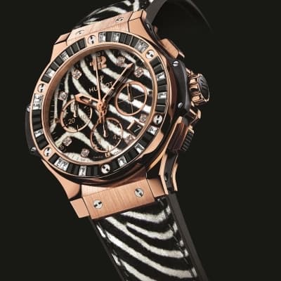 Big Bang Zebra
