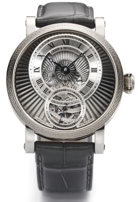 Grey Polaris