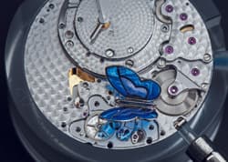 SIHH-2017 | Мамонты и бабочки