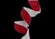 Van Cleef & Arpels ставит на красное
