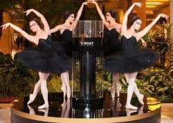 Fashion Day в «Крокус Сити Молл»