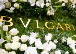 Исторические драгоценности из музейного собрания Bvlgari в Москве