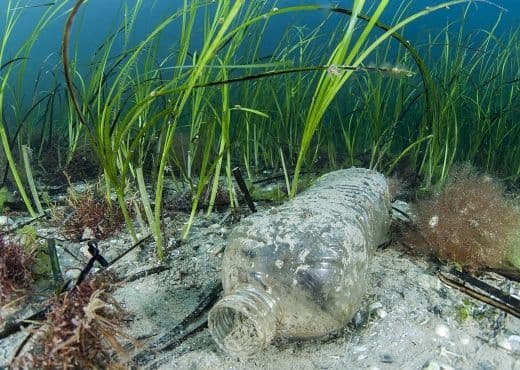 Breitling начала сотрудничать с Ocean Conservancy