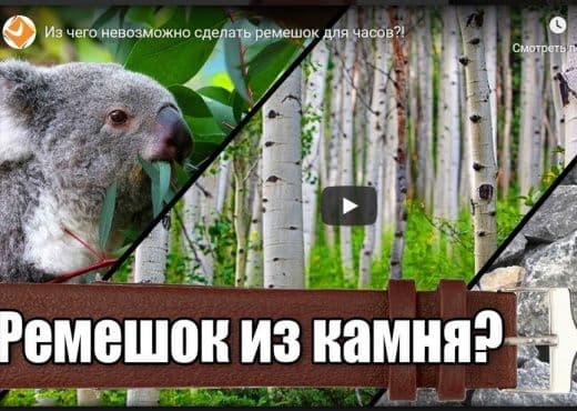 Из чего невозможно сделать ремешок для часов