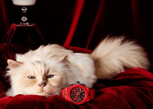 Лицом рекламы часов Hublot стала Шупетт