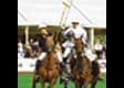 Журнал "Мои Часы" поддержит Летний кубок поло Mercury Polo Cup 2008
