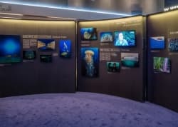 В Москве пройдет выставка Blancpain Ocean Commitment