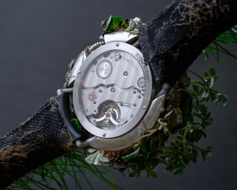 Часы Moser Nature Watch 