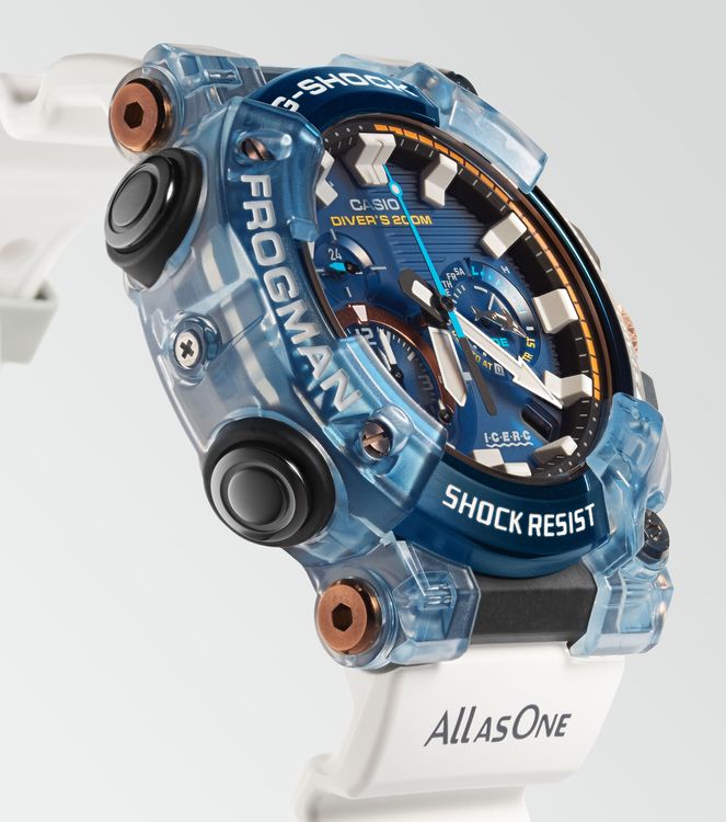 Часы G-Shock Frogman c Японским институтом исследования китообразных