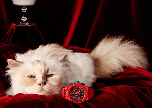 Лицом рекламы часов Hublot стала Шупетт
